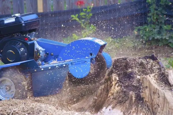 Stump Grinding  Stump Grinding