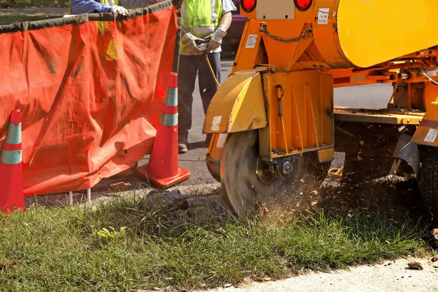 Excellent Stump Grinding Burgaw, NC Excellent Stump Grinding Burgaw, NC