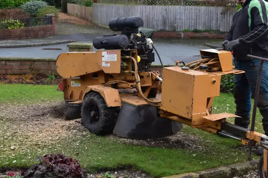 How Stump Grinding Enhances Yard Safety Burgaw, NC How Stump Grinding Enhances Yard Safety Burgaw, NC
