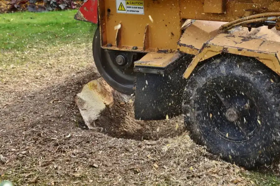 How Stump Grinding Enhances Yard Safety in Burgaw, NC How Stump Grinding Enhances Yard Safety in Burgaw, NC