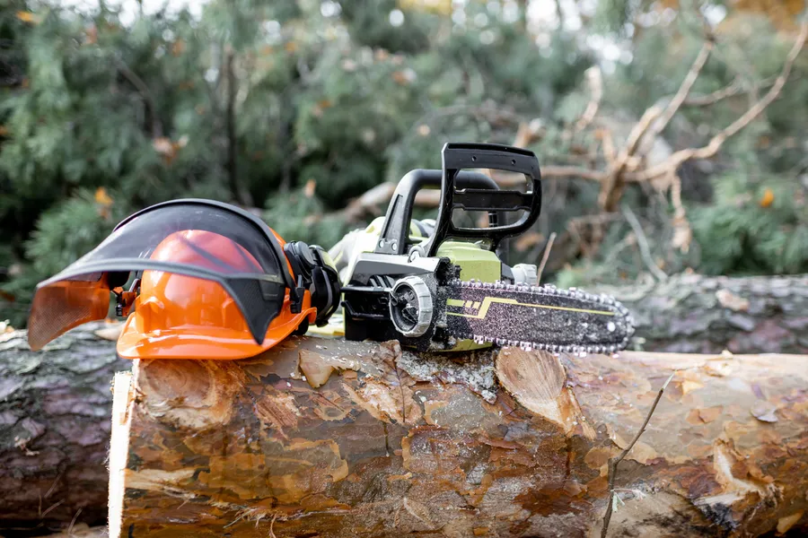 How Tree Cutting Service Prevents Structural Damage Burgaw, NC