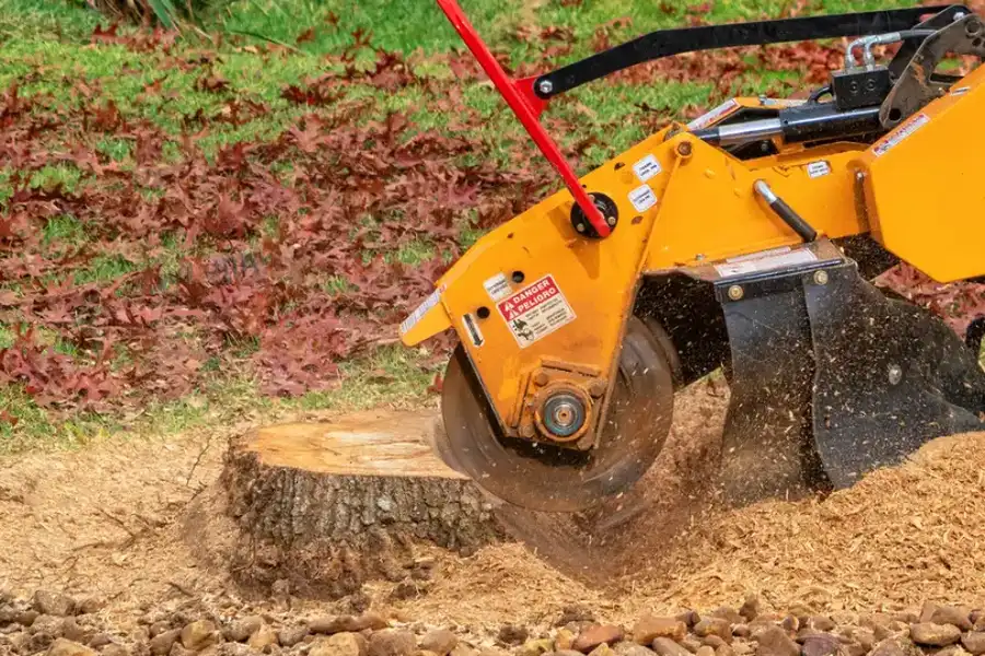 Quality Stump Grinding Burgaw, NC Quality Stump Grinding Burgaw, NC