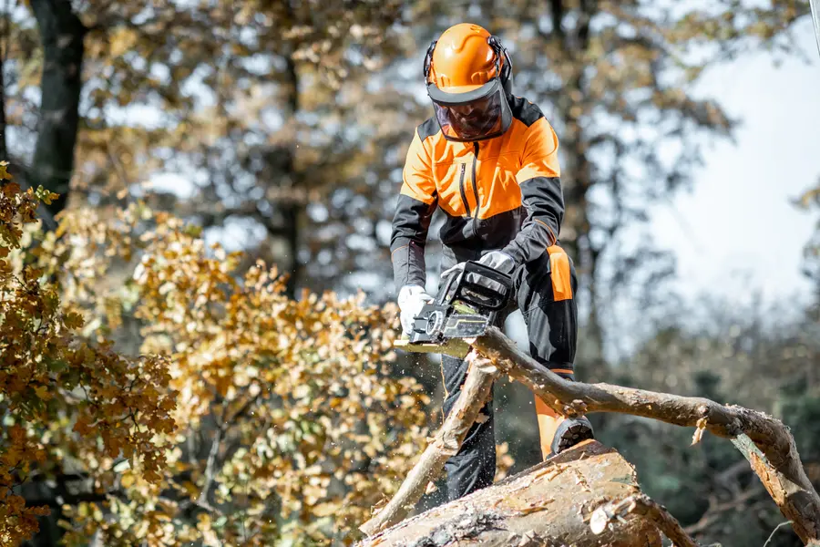 Tree Cutting Service For Storm Damage Prevention Burgaw, NC Tree Cutting Service For Storm Damage Prevention Burgaw, NC